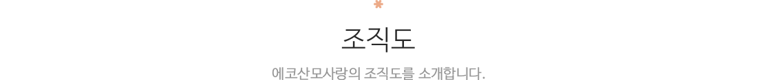 조직도